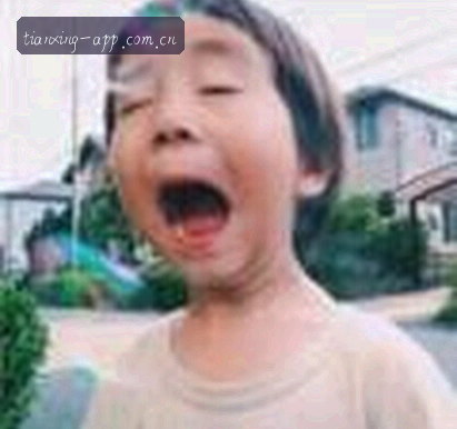 陈磊